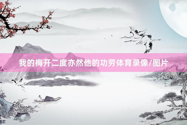 我的梅开二度亦然他的功劳体育录像/图片