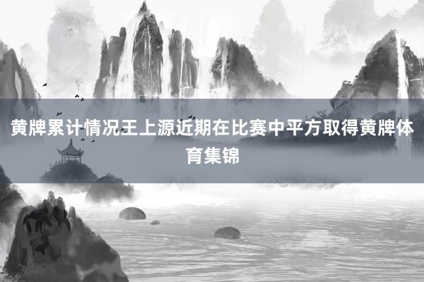 黄牌累计情况王上源近期在比赛中平方取得黄牌体育集锦