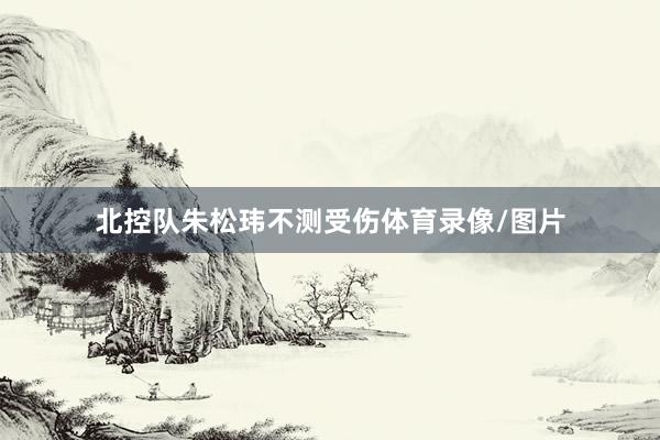 北控队朱松玮不测受伤体育录像/图片