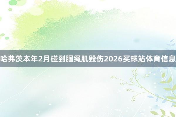 哈弗茨本年2月碰到腘绳肌毁伤2026买球站体育信息