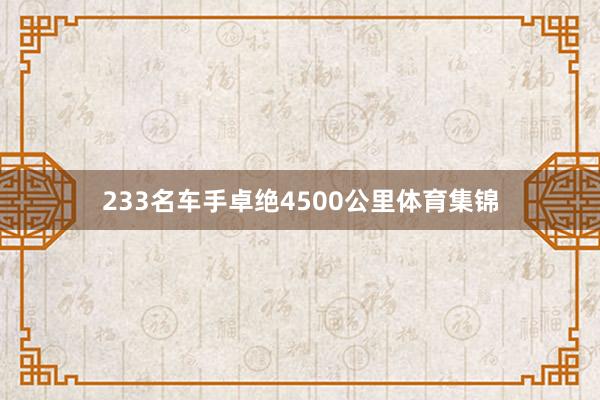 233名车手卓绝4500公里体育集锦
