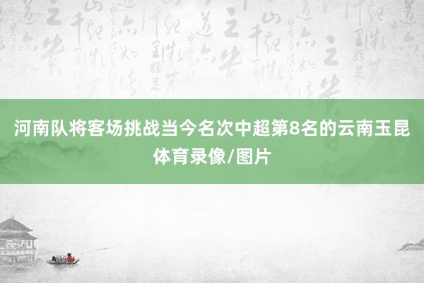 河南队将客场挑战当今名次中超第8名的云南玉昆体育录像/图片