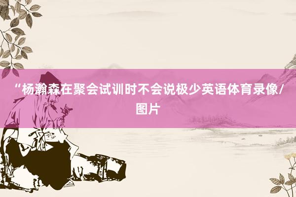 “杨瀚森在聚会试训时不会说极少英语体育录像/图片