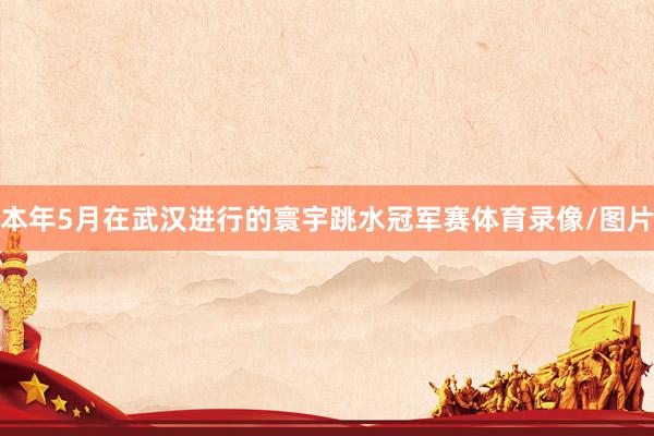 本年5月在武汉进行的寰宇跳水冠军赛体育录像/图片