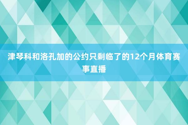津琴科和洛孔加的公约只剩临了的12个月体育赛事直播