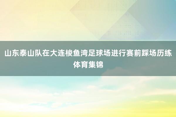 山东泰山队在大连梭鱼湾足球场进行赛前踩场历练体育集锦
