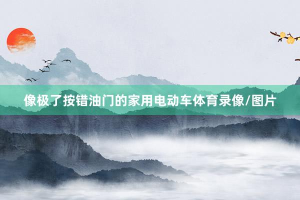 像极了按错油门的家用电动车体育录像/图片