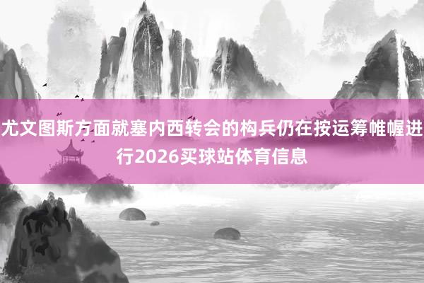 尤文图斯方面就塞内西转会的构兵仍在按运筹帷幄进行2026买球站体育信息