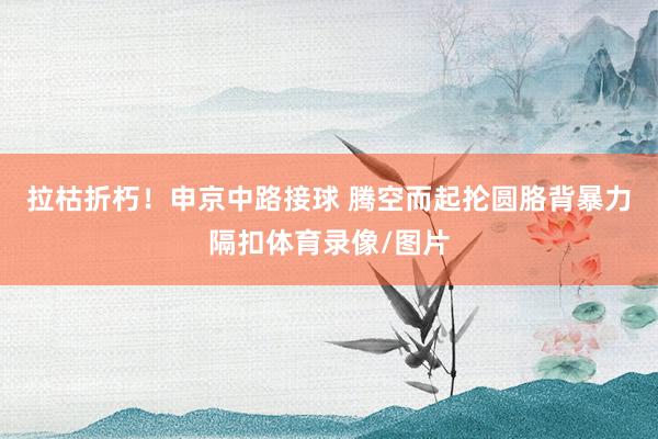 拉枯折朽！申京中路接球 腾空而起抡圆胳背暴力隔扣体育录像/图片
