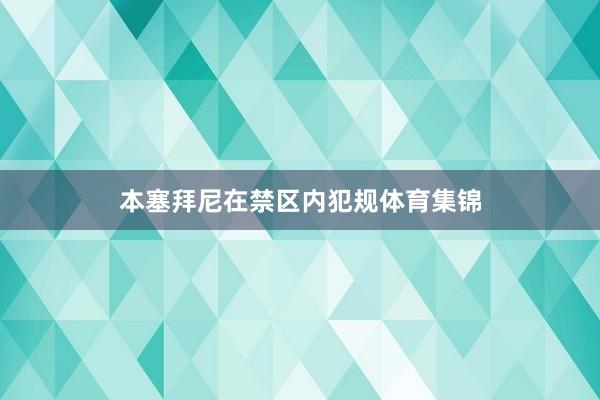 本塞拜尼在禁区内犯规体育集锦