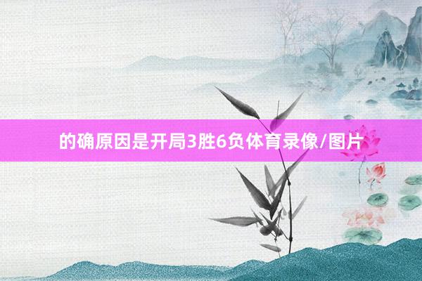 的确原因是开局3胜6负体育录像/图片