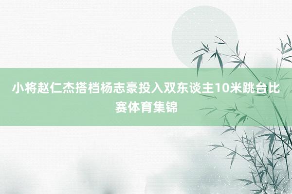 小将赵仁杰搭档杨志豪投入双东谈主10米跳台比赛体育集锦