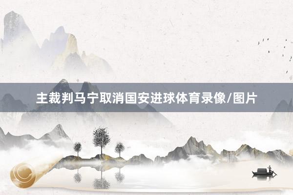主裁判马宁取消国安进球体育录像/图片