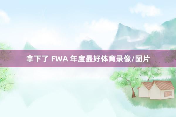 拿下了 FWA 年度最好体育录像/图片