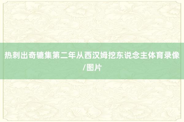 热刺出奇辘集第二年从西汉姆挖东说念主体育录像/图片