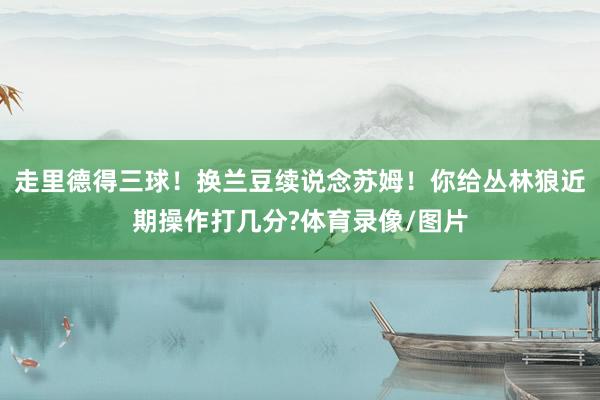 走里德得三球！换兰豆续说念苏姆！你给丛林狼近期操作打几分?体育录像/图片